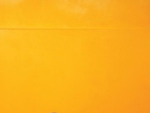 Cipőreklámot lopott Terry Richardson