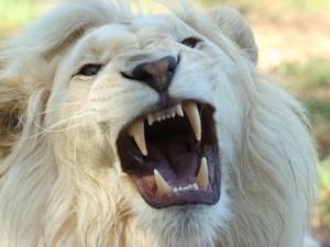 Apróságon csúszik el a fogaid egészsége