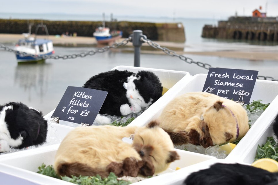 A látvány sokkolta a helyieket