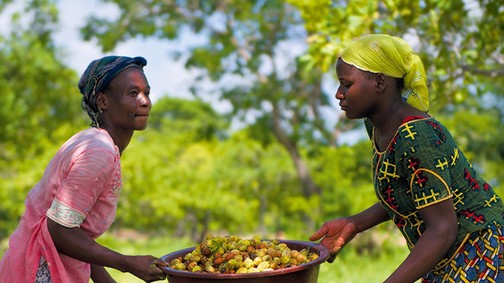 Nőkön segíthetsz, ha a L`OCCITANE termékeit választod