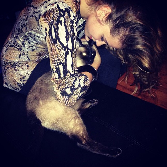 Imádjuk a cicákat, a cicás sztárokat pedig még jobban!