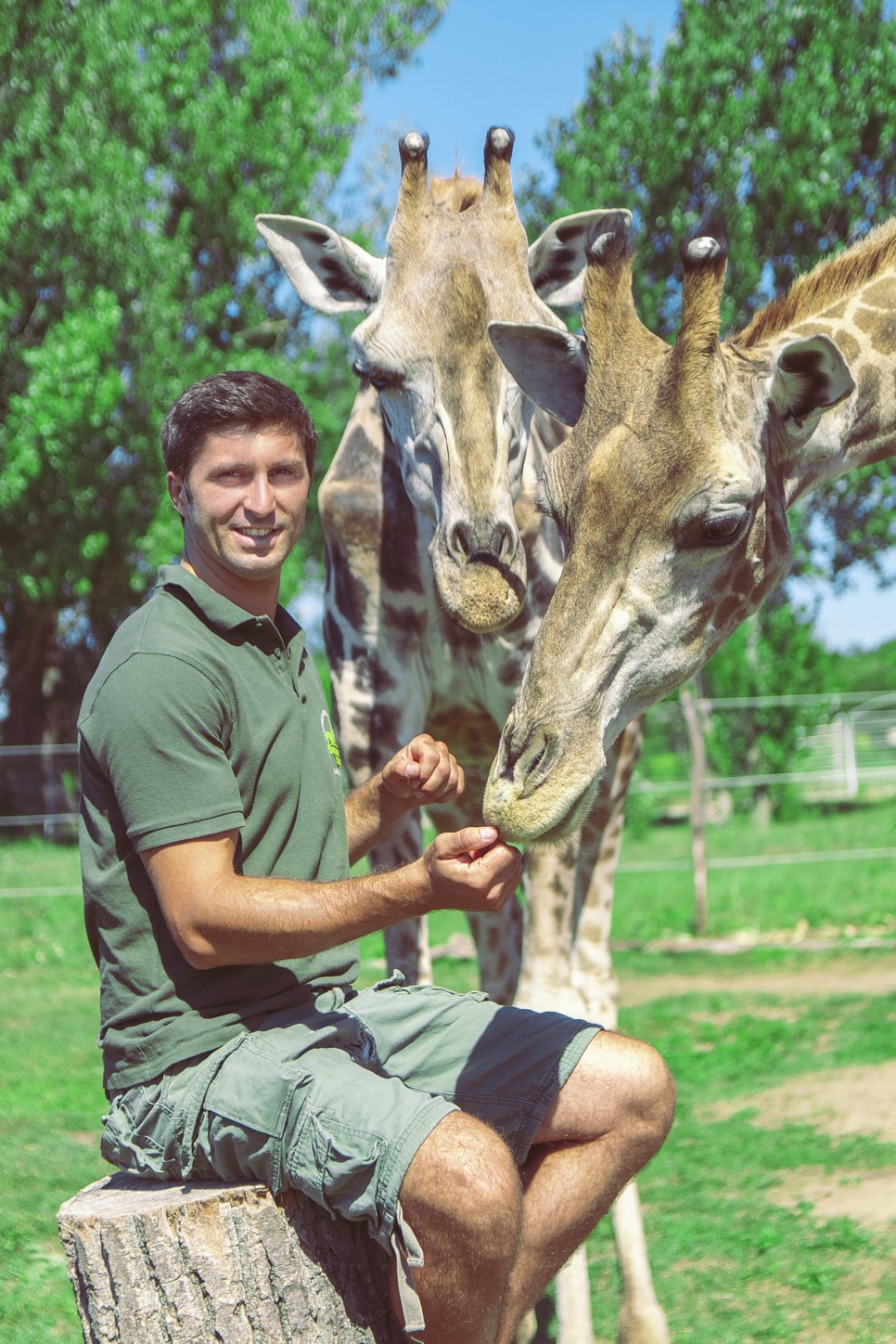 Sokkal nagyonn területük és szabadságuk van így a cirkuszi állatoknak, akiket a nemzetközi egyezmények miatt örömünkre kivonnak a cirkuszi munkából, és végre szabadabban élhetnek