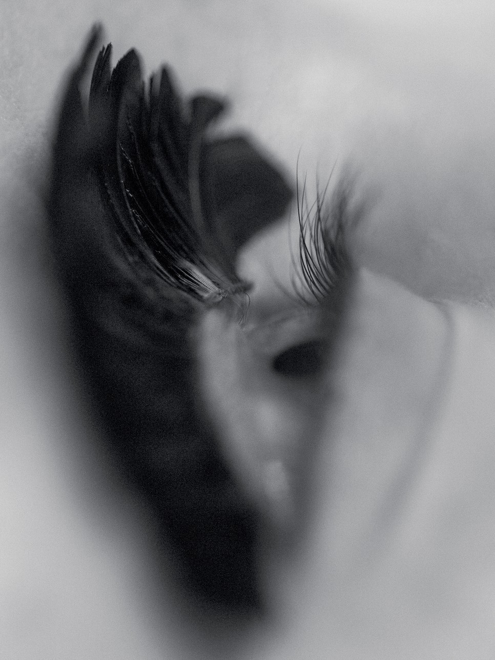 Szembetűnő pillantás: kedvenc piperénk a szempillaspirál!