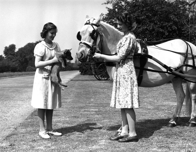 8 érdekesség, amit nem tudtál II. Erzsébet királynőről