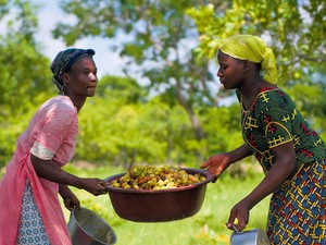 Nőkön segíthetsz, ha a L`OCCITANE termékeit választod