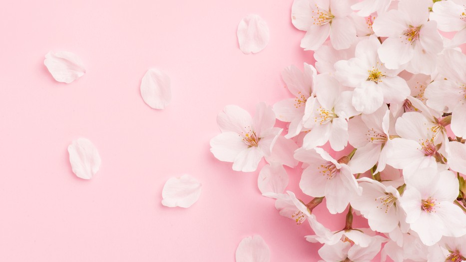 Miért érezzük romantikusabbnak magunkat tavasszal?