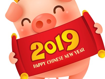 Változás, új lehetőségek - Minden, amit tudnod kell a DISZNÓ évéről