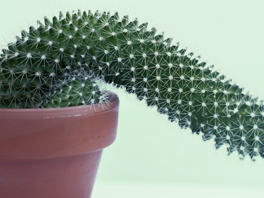 Egy ideális világban nem férfiatlan, ha egy férfi nemet mond a szexre