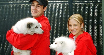 15 évet kellett rá várni, de megérte: Sarah Michelle Gellar és Freddie Prinze Jr. újra együtt a vörös szőnyegen