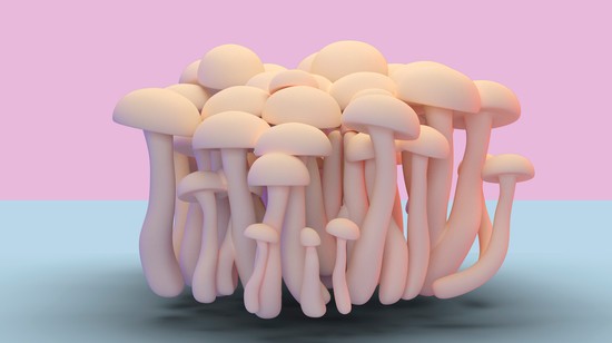 Lesz még ökotudatos, szeretnehető a divat? Stella McCartney szerint a gombák változtatják meg a divatipart