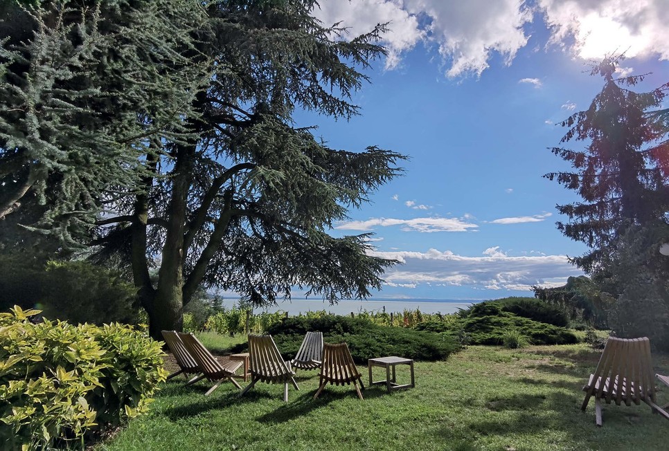 Délután egy könyvvel, kora este pedig egy pohár borral a kézben a cédrusok alatt a Balatont nézem a Folly Arborétumban