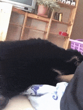 Te fejlett alvás fázisú vagy? Megtudhatod, hogy mit jelent, ha igen