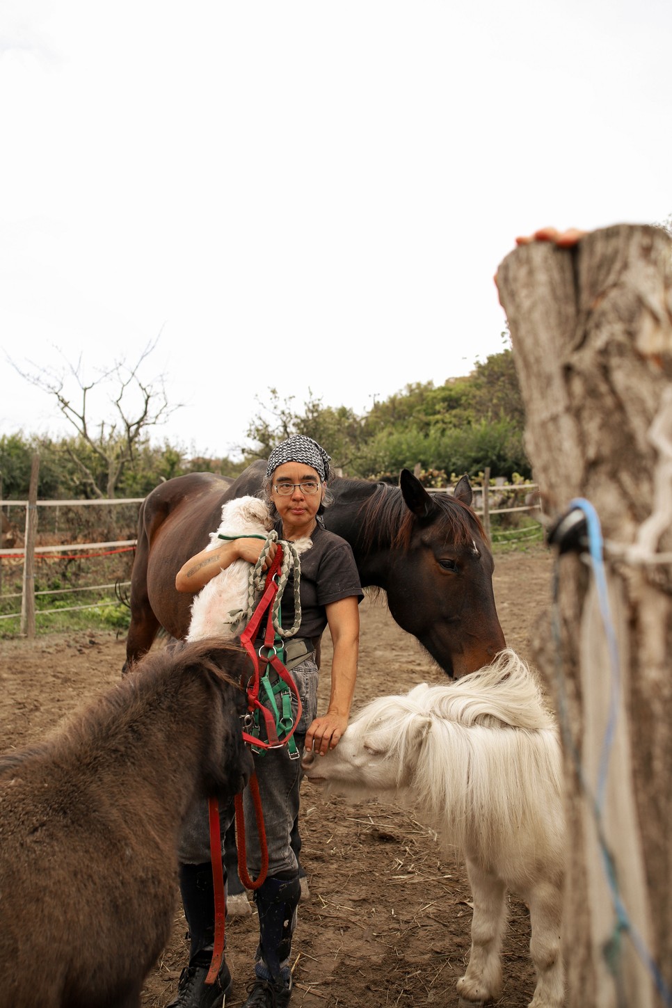 A cél egy terápiás központ létrehozása