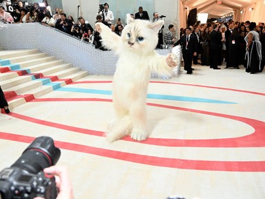 Jared Leto Karl Lagerfeld macskájaként érkezett a Met-gálára