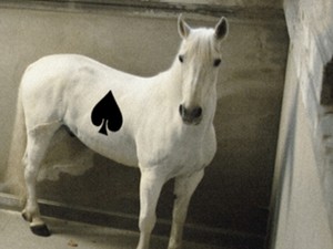 ZOLTAN+ FEKETESZIIIV - Design Hét Budapest 2013.