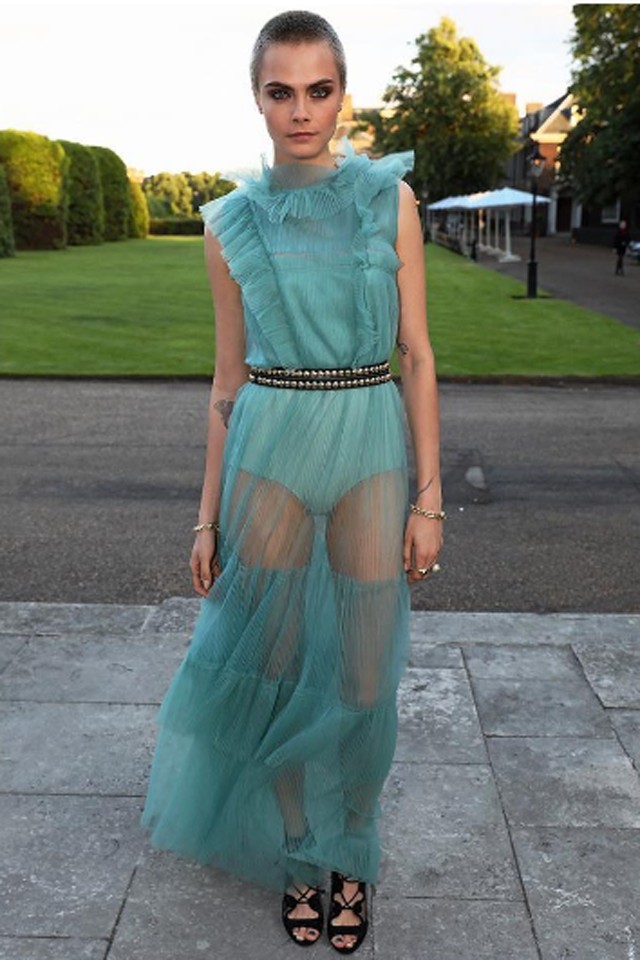 Cara Delevingne áttetsző ruhában védi az elefántokat