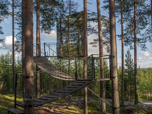 Egy álom: a fák tetején aludhatsz ebben a varázslatos szállodában