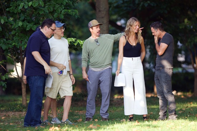 Avengers Robert Downey Jr Gwyneth Paltrow Mark Ruffalo