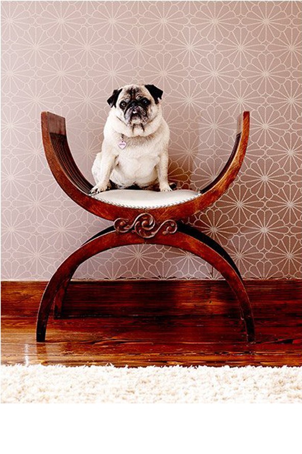 Elviszünk Jessica Albáékhoz