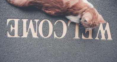 Le akarod nyűgőzni a vendégeket? Íme a legviccesebb lábtörlők