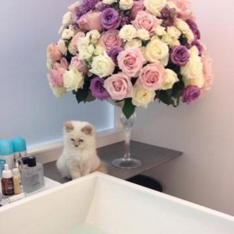 `Ő egy igazi szépség` - Fotó: fashion.telegraph.co.uk