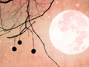 Eljött az idő, hogy feltárjuk a rejtett energiákat: ezt tartogatja számunkra a Skorpió Újhold