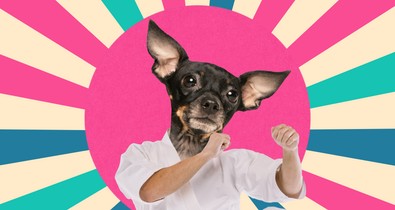 Akár az életedet is megmentheti ez a kifejezés, jegyezd meg arra az esetre, ha meg akarna támadni egy kutya