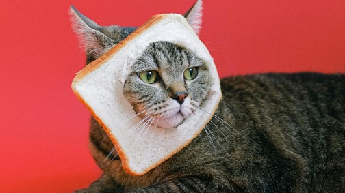 Hízást és hiánybetegségeket okozhat a gluténmentes diéta