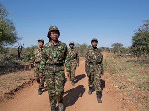 A Fekete Mambák a dél-afrikai természetvédelem hősnői