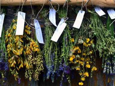 A szárított gyógynövények értékesebbek, mint hinnéd - így hasznosíthatod őket