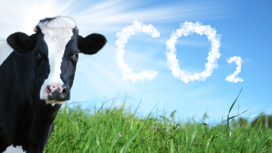 Az állattenyésztés az egyik legmagasabb üvegházhatást okozó gázokat kibocsájtó emberi tevékenység, így mihamarabb csökkenteni kellene az állatok mennyiségét, kevesebb húst, tejterméket kellene fogyasztanunk