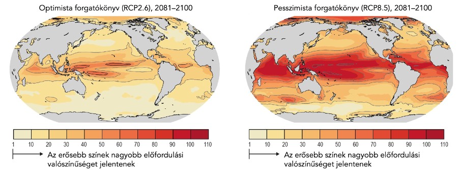 Másfélfok.hu: Egyre gyakoribbak és pusztítóbbak az óceáni hőhullámok - Aggodalomra nagyon is sok okunk van