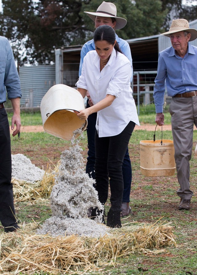 Meghan Markle és Harry herceg