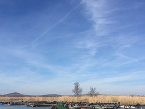 Eke Angéla imádja a természetet és ezt mai szettje is tökéletesen tükrözi